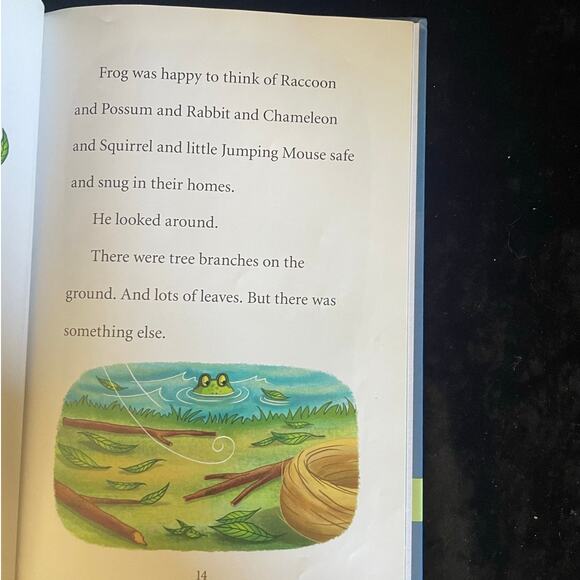 Frog and Friends Series by Eve Bunting | 2013 | 3 Books for Grades 1-2 Readers - Picture 7 of 9